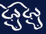 blueoxen